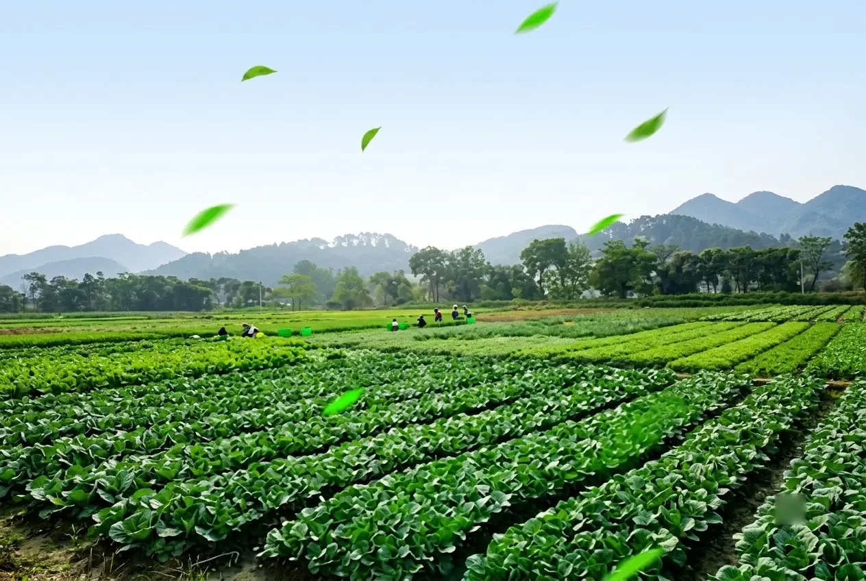 1994: Rau Nông Nghịch Tập