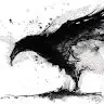 Crow