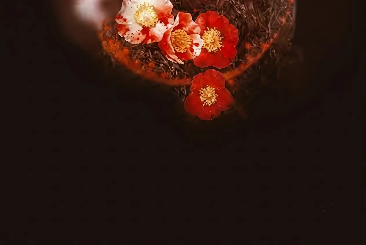 Long Đồ Cốt Giám