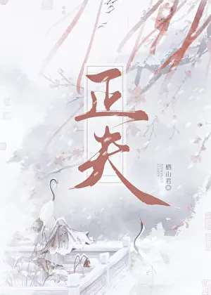 Ta Không Phải Chính Phu Sao