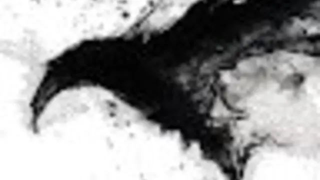 Crow