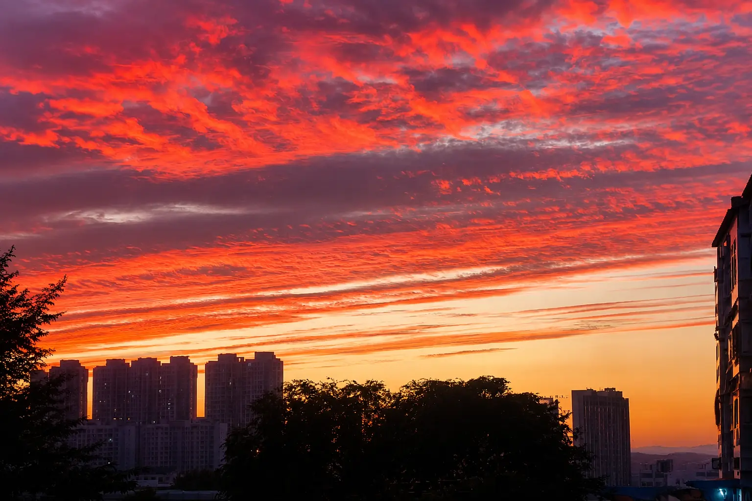 Vãn Kình Tạp Văn Tập