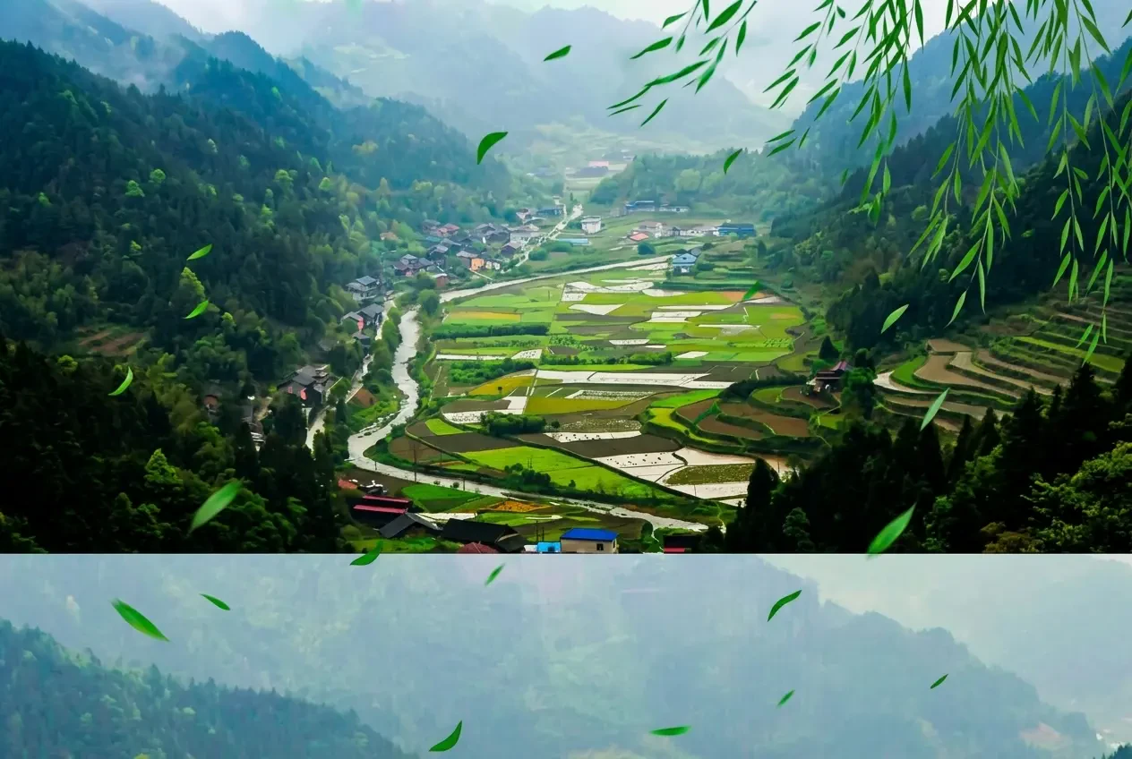 Xuân Phong Lý